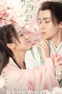 İ��������