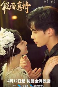 ��������2024