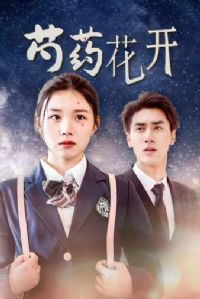 ��ҩ����&����е���ҩ��