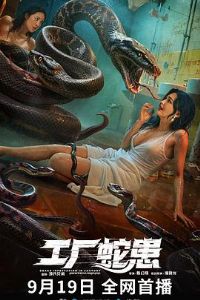 �����߻�