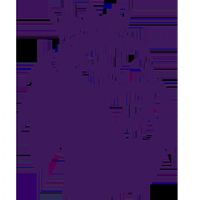 Ӣ�� ����ķ��vs������20251130